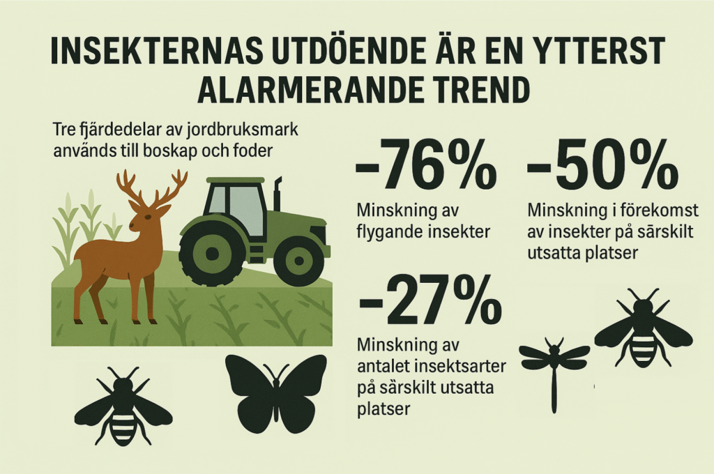 Insekter