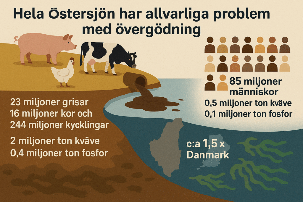 Övergödning