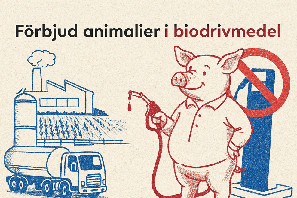 Förbjud animalier i biodrivmedel