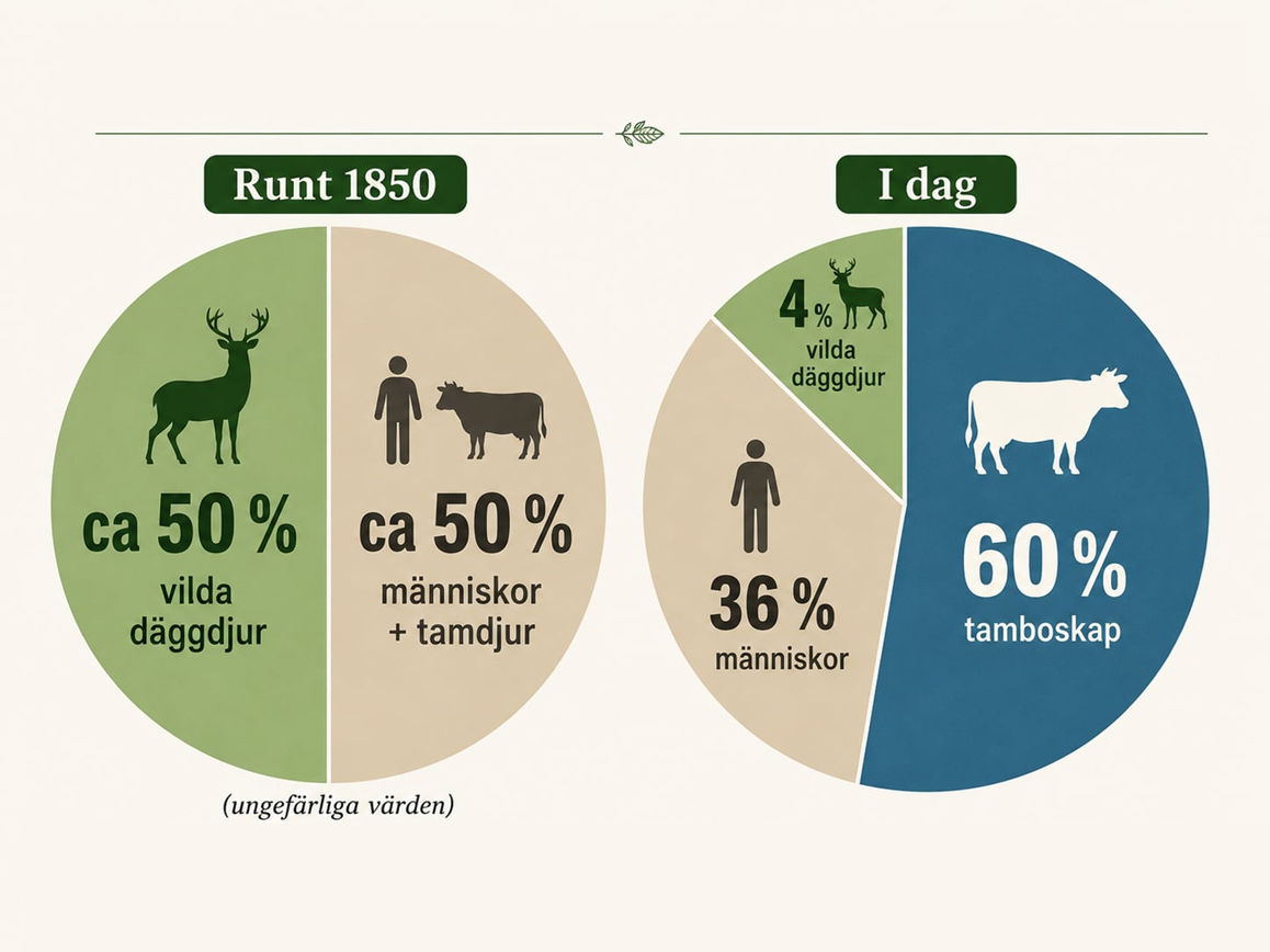 Biologisk mångfald historik